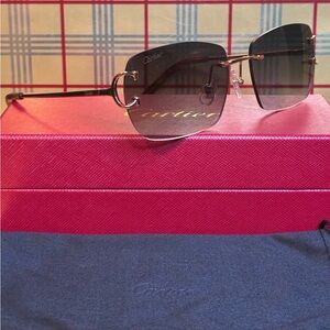 Cartier Big C Unisex Sunglasses